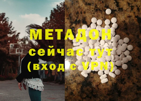 ПСИЛОЦИБИНОВЫЕ ГРИБЫ Арсеньев