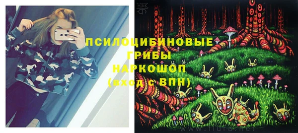 гидра Алексеевка